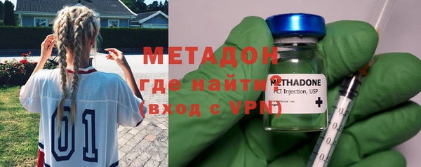 индика Ладушкин