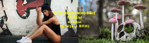apvp Липки